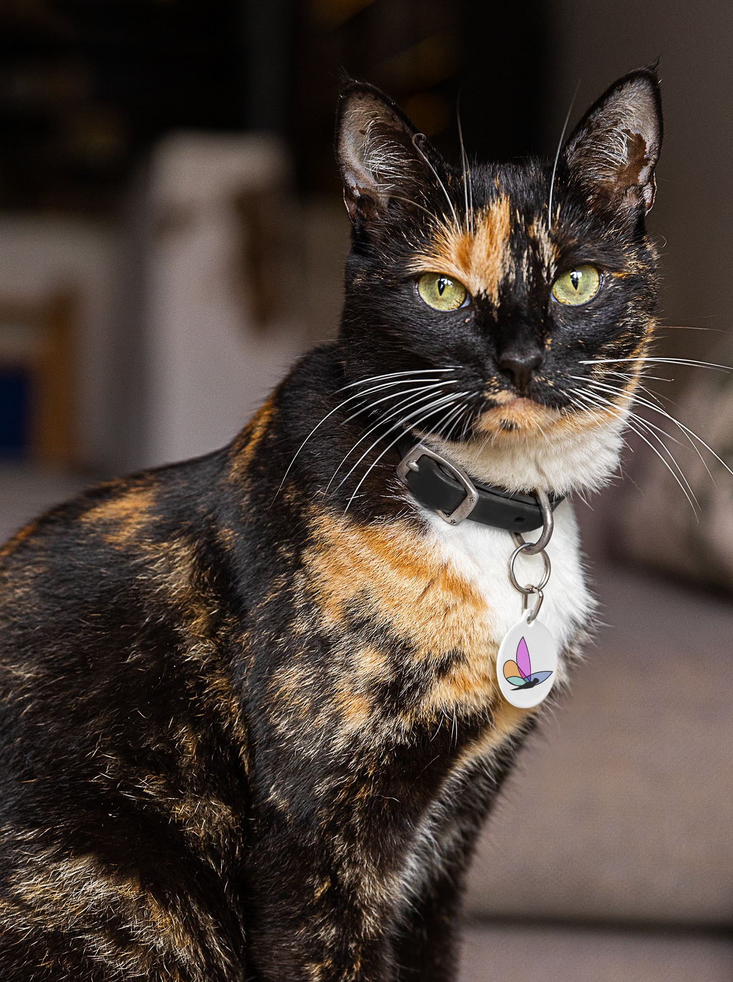 Custom Cat Tag's - Custom Ink Printing