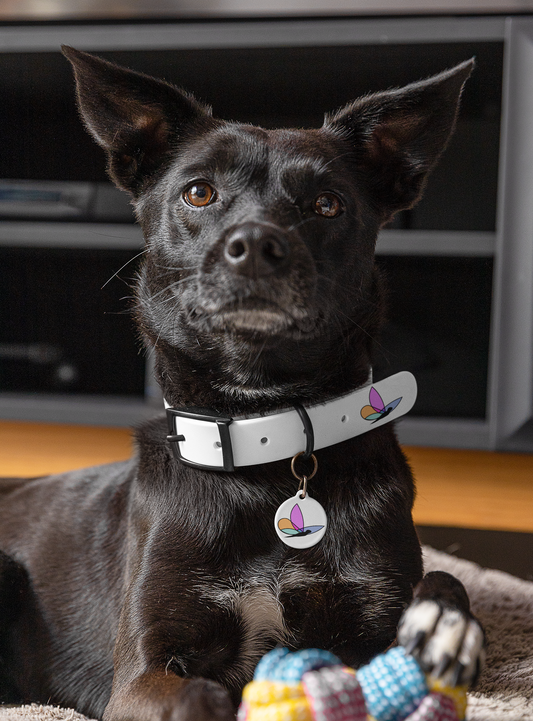 Custom Dog Tag's - Custom Ink Printing