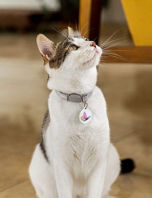 Custom Cat Tag's - Custom Ink Printing